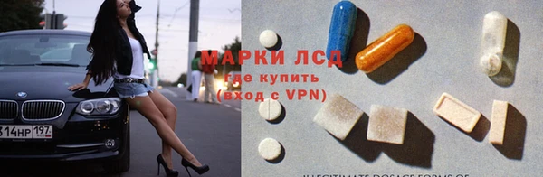 гидра Богданович