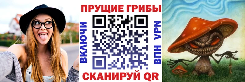 закладки  Братск  blacksprut сайт  Псилоцибиновые грибы Cubensis 