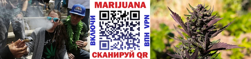 Бошки Шишки семена  где найти наркотики  MEGA онион  Братск 